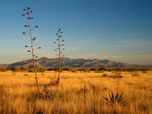 Truth in Focus Internet Radio - Heartland Nation - Church in Sierra Vista